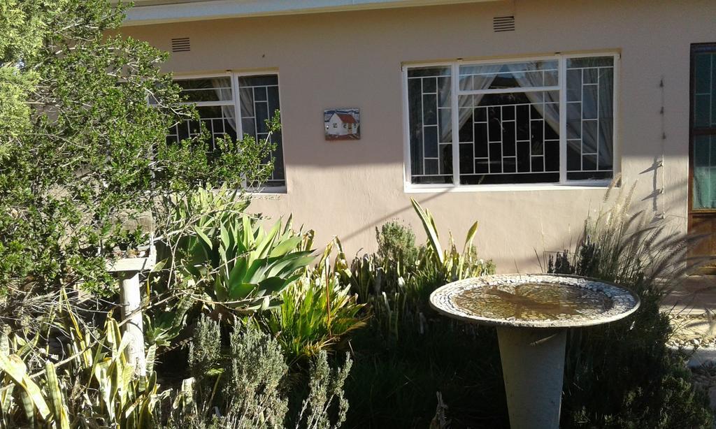 Grysbok Self Catering Accommodation Oudtshoorn Exterior foto